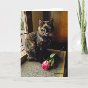 Tarjeta Tortoiseshell Cat and Rose Greeting Card
