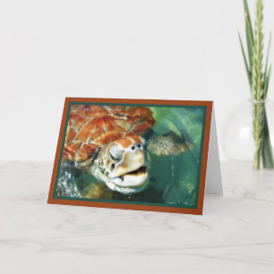 Tarjeta Tortuga Caimán