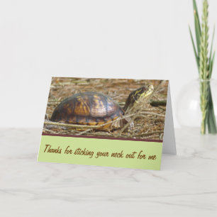 Tarjeta Tortuga - Cuello fuera