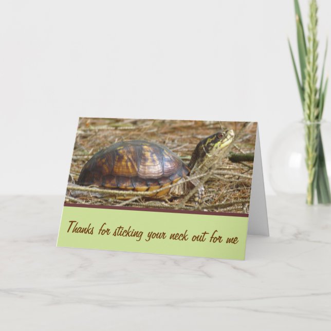Tarjeta Tortuga - Cuello fuera (Anverso)