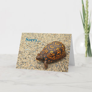 Tarjeta Tortuga de caja deplorable cumpleaños tardío