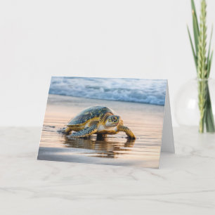 Tarjeta Tortuga de cumpleaños caminando en una playa