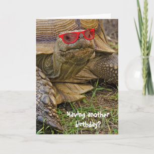 Tarjeta Tortuga de cumpleaños en gafas de sol