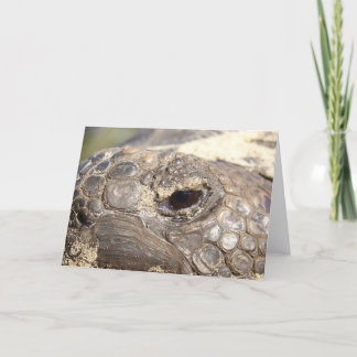 Tarjeta Tortuga de Gopher no feliz