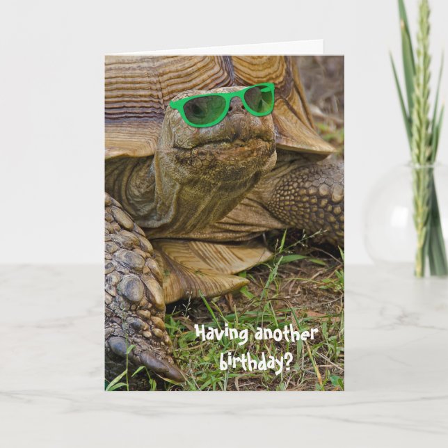 Tarjeta tortuga de humor de cumpleaños con gafas verdes (Anverso)