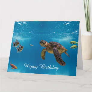 Tarjeta Tortuga marina