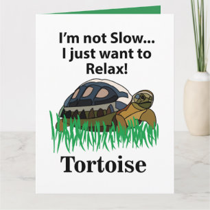 Tarjeta Tortuga Relajarse Animal Lindo Divertido Cumpleaño