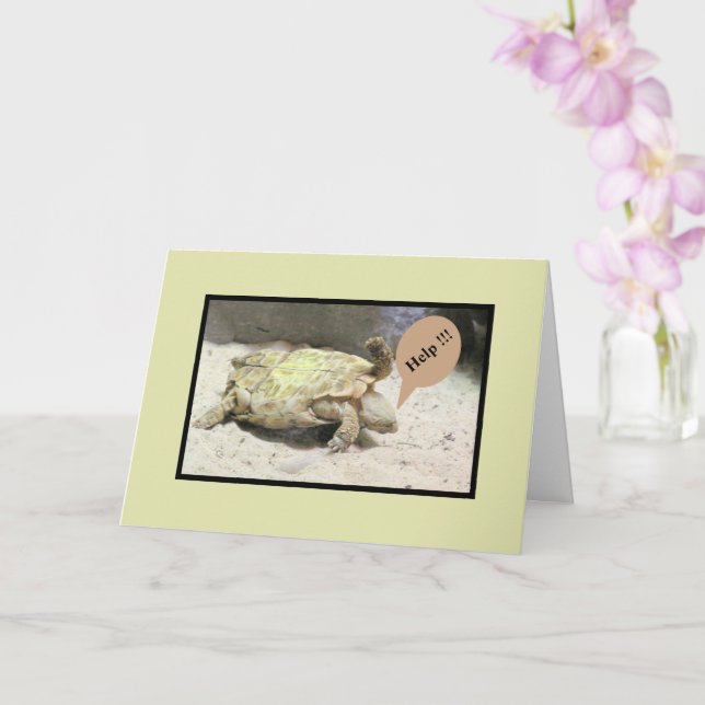 TARJETA TORTUGA VOLADA/SORRIA POR SU ACCIDENTE/HUMO (Orquídea)