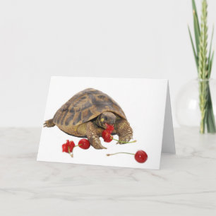 Tarjeta Tortuga y fresas de Hermann
