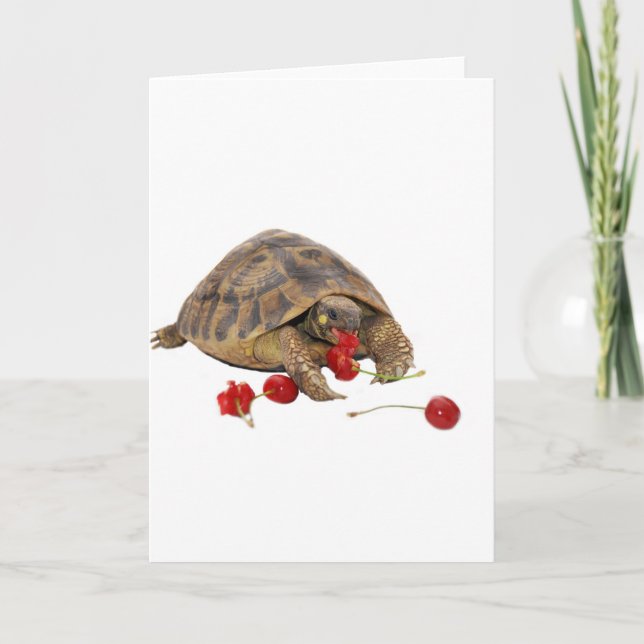 Tarjeta Tortuga y fresas de Hermann (Anverso)