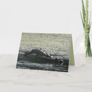 Tarjeta Tortugas giran