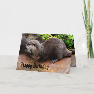 Tarjeta Totalmente Adorable Pequeña Nutria Gris, Feliz Cum