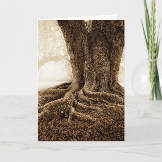 Tarjeta Touching_Earth_MW1104 (Anverso)