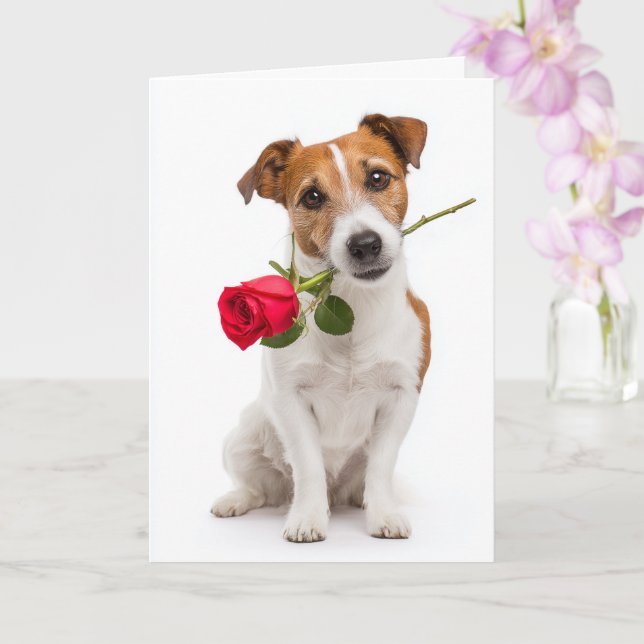 Tarjeta Toy Fox Terrier en San Valentín (Orquídea)