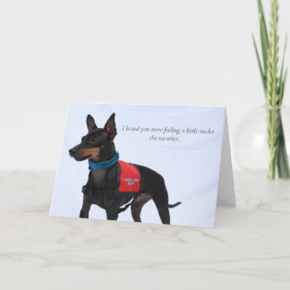 Tarjeta Toy Manchester Terrier Get Well Card