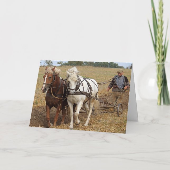 Tarjeta Trabajo (Anverso)