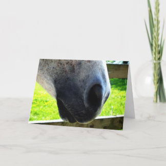 Tarjeta Trabajo de Nose