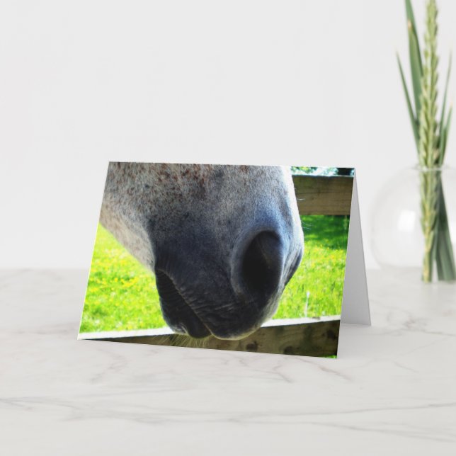 Tarjeta Trabajo de Nose (Anverso)