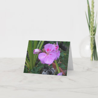 Tarjeta Traer la lluvia - Notecard