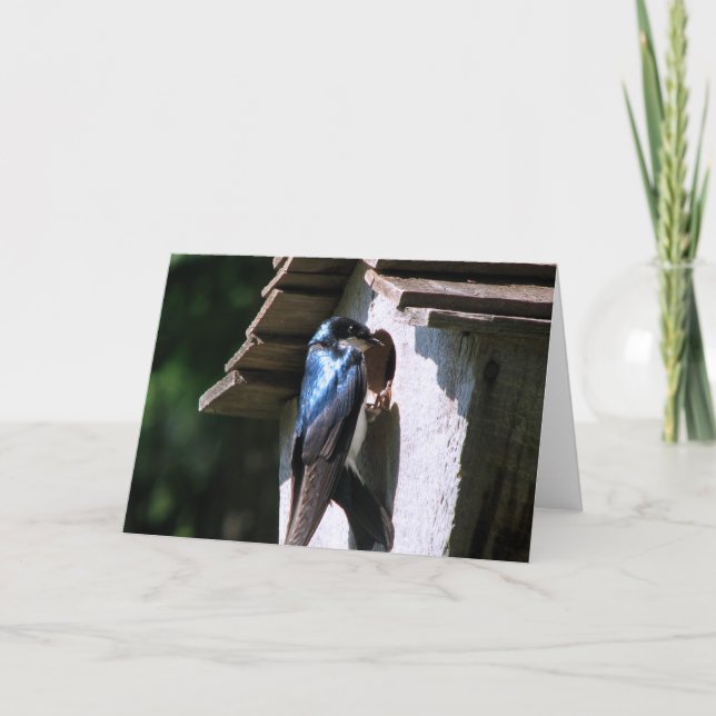 Tarjeta Tragar árbol (Anverso)