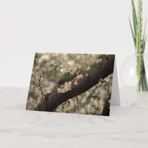 Tarjeta Transición al Nirvana Fotografía de flor de cere