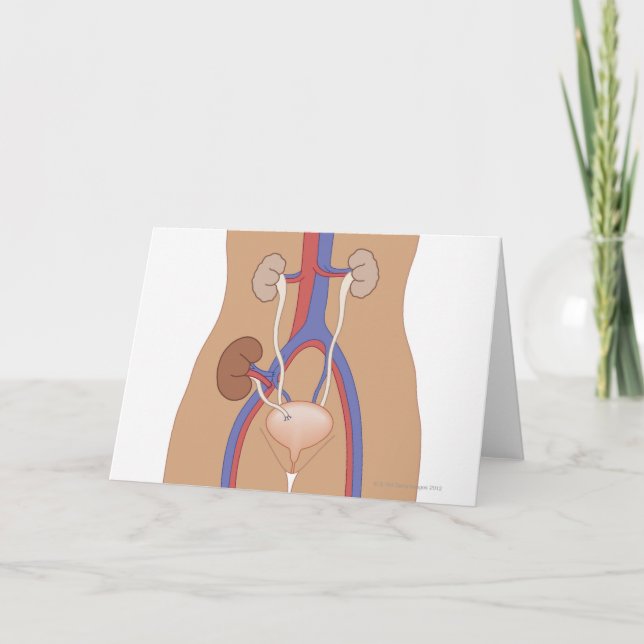 Tarjeta Trasplante de riñón (Anverso)