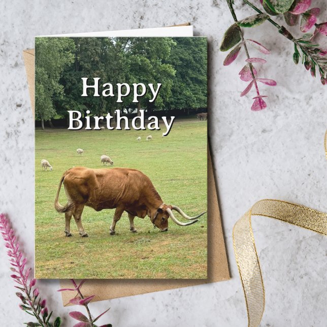 Tarjeta Travel Birthday Bull Sheep Farm Portugal Photo (Subido por el creador)