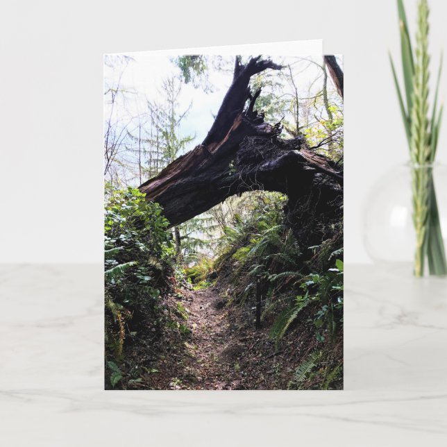 Tarjeta Trayecto de buceo de bosques costeros, decepción d (Anverso)