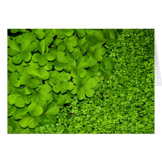 Tarjeta Trébol verde