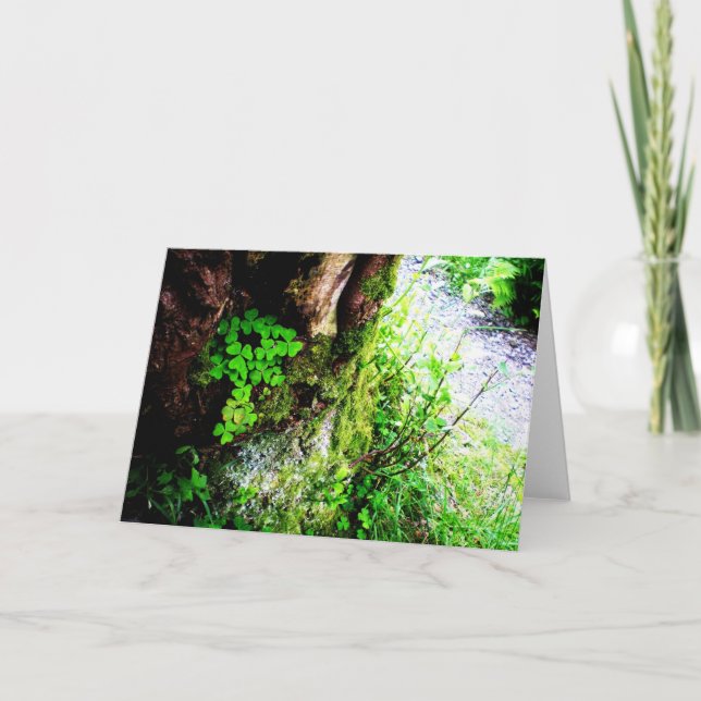 Tarjeta Tréboles de los monjes (Anverso)