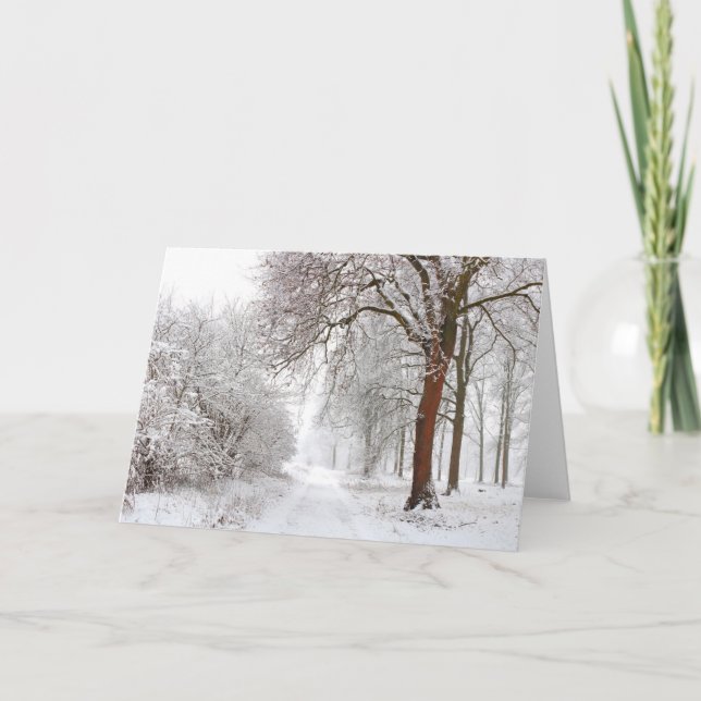 Tarjeta Tree Alley | Parque Stupinigi, Italia (Anverso)