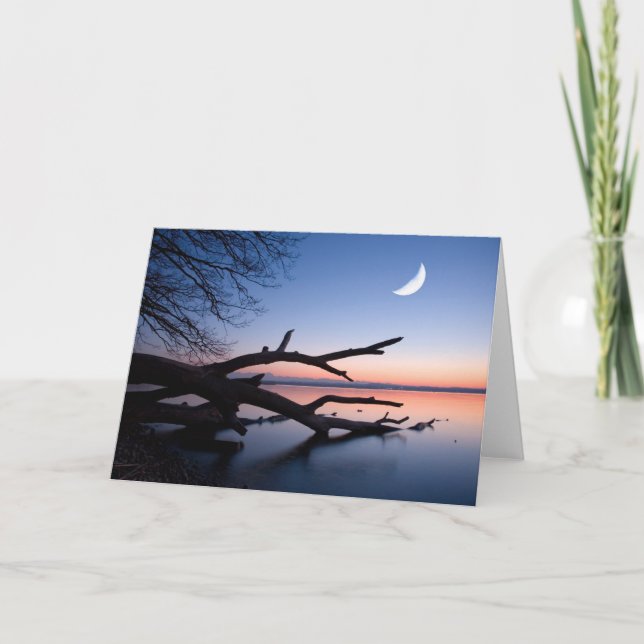 Tarjeta Tree at Starnberg Lake | Muensing Bavaria Germany (Anverso)