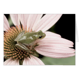 Tarjeta Treefrog Verde