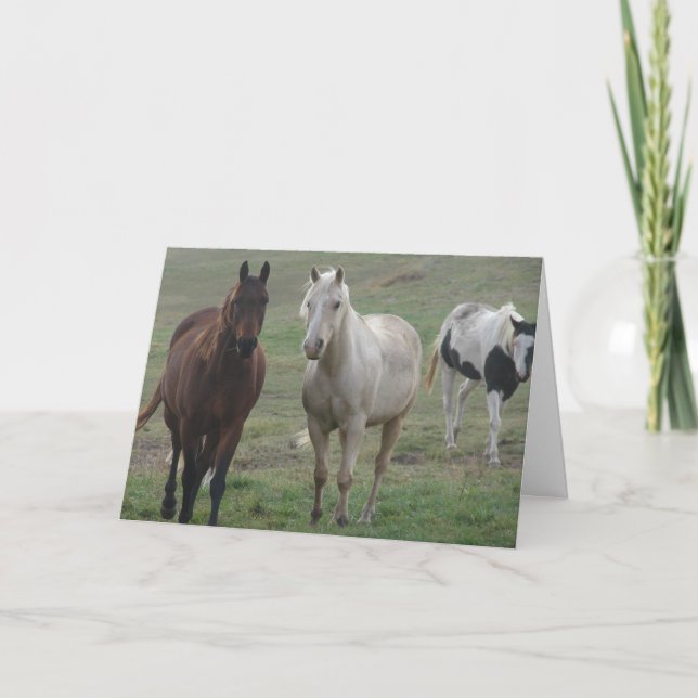 Tarjeta Tres amigos de caballos para siempre (Anverso)