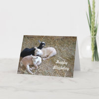 Tres cartas de cumpleaños de cabras 7889