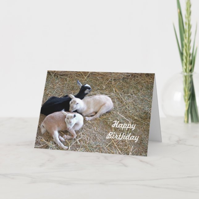 Tarjeta Tres cartas de cumpleaños de cabras 7889 (Anverso)