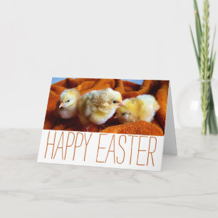 Tarjeta Tres chicles amarillos, Naranja y Pascua Blanca