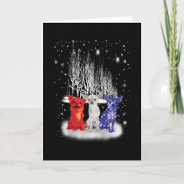 Tarjeta Tres Chihuahua Nieve Patriótico Americano Navidad