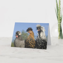 Tarjeta Tres divertidos polacos polacos polacos - Aves div