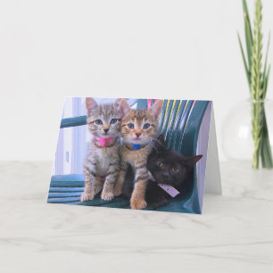 Tarjeta Tres gatitos