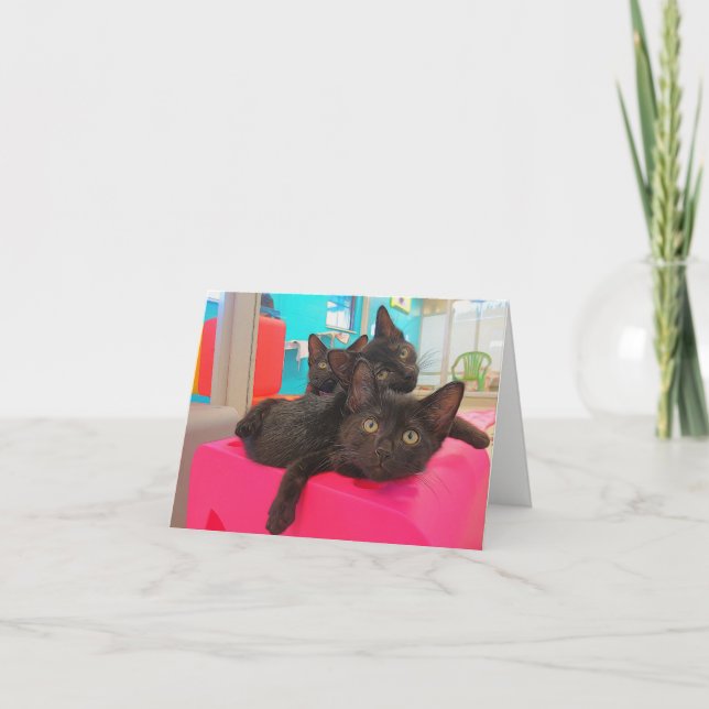 Tarjeta Tres gatitos negros (Anverso)