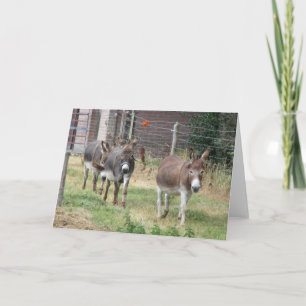 Tarjeta Tres mini burros