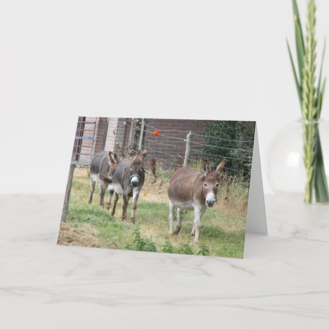Tarjeta Tres mini burros (Anverso)