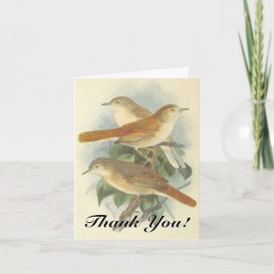 Tarjeta Tres pájaros en una sucursal, "¡Gracias!"