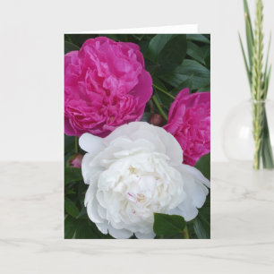 Tarjeta Tres peonies notecard