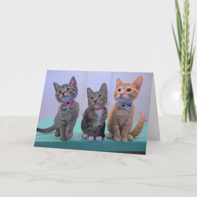 Tarjeta Tres pequeños gatitos (Anverso)