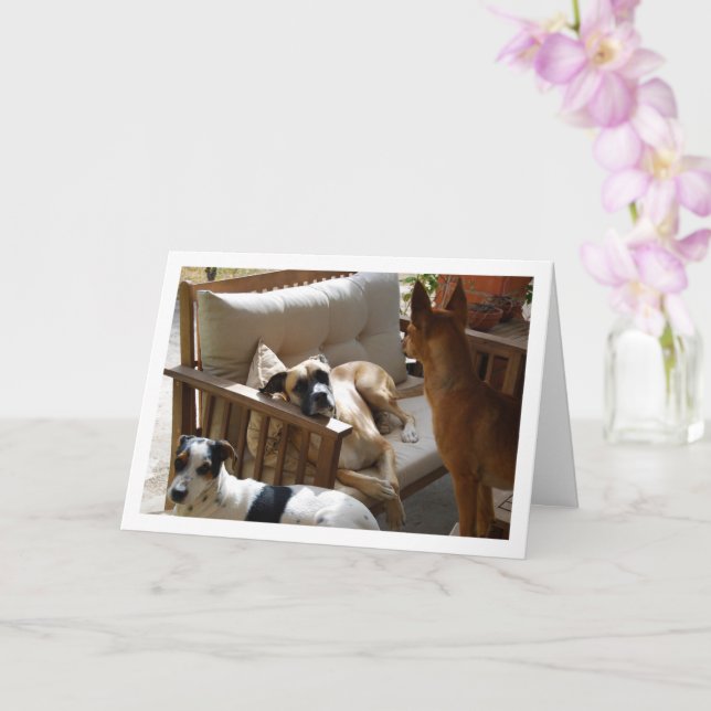 Tarjeta Tres Perros Relajados Retrato (Orquídea)