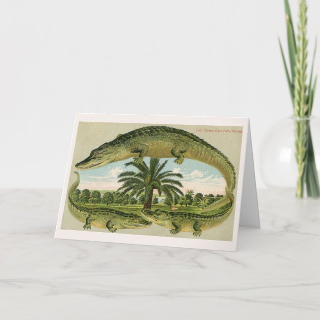 Tarjeta Tres puertas y un árbol de palma (Anverso)