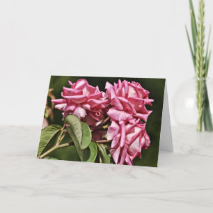 Tarjeta Tres Rosas Bonitos en rosa