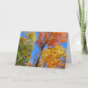 Tarjeta Tres tonos de coloridos arces de otoño